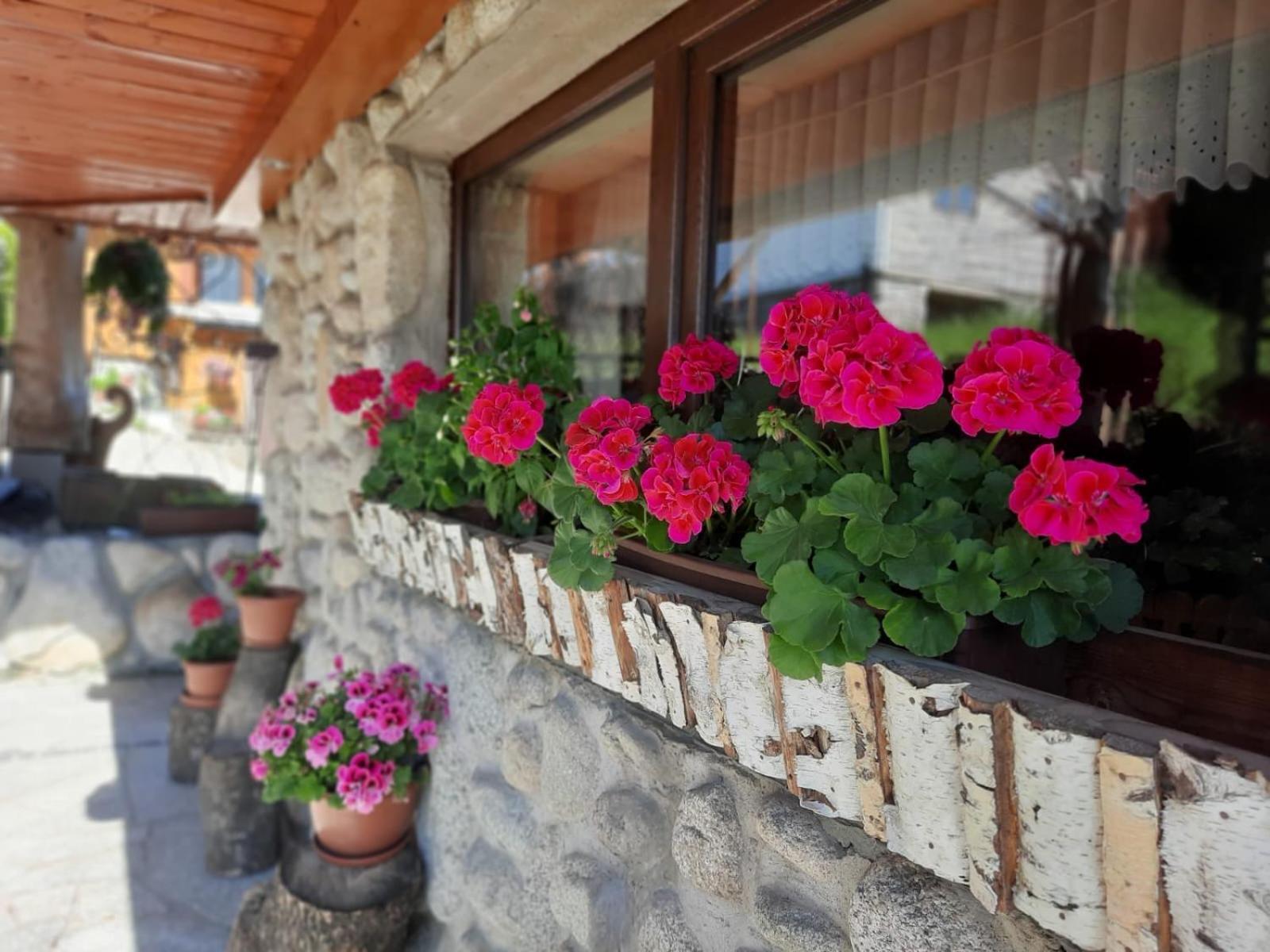 Apartamento U Bobakow Murzasichle Exterior foto